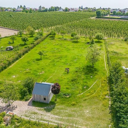 Unique Hideaway, Holiday House With Large Garden Kortenaken Dış mekan fotoğraf