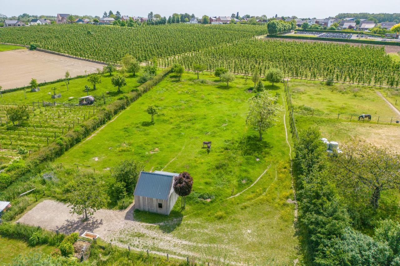Unique Hideaway, Holiday House With Large Garden Kortenaken Dış mekan fotoğraf